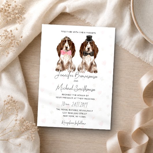 Invitation Cocker Spaniel pattes coeurs chien mariage