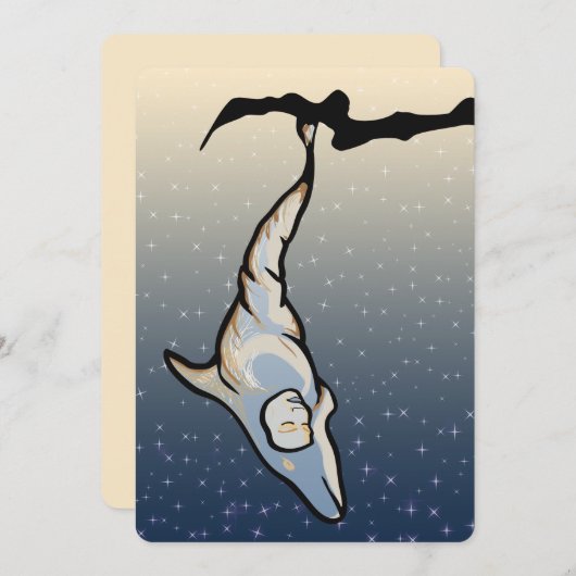 Invitation cocon dauphin (Devant / Derrière)