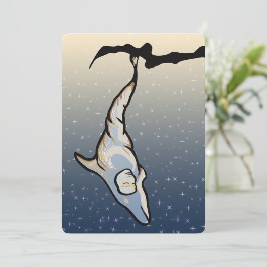 Invitation cocon dauphin (Debout devant)