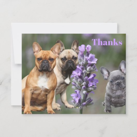 Invitation Cœur de Bouledogue français (Devant)