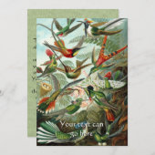 Invitation Colibri Vintage (Devant / Derrière)