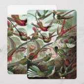 Invitation Colibris - Ernst Haeckel (Devant / Derrière)