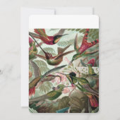Invitation Colibris - Ernst Haeckel (Dos)
