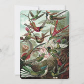 Invitation Colibris - Ernst Haeckel (Devant)