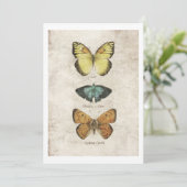 Invitation Collection de papillons (Debout devant)