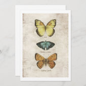 Invitation Collection de papillons (Devant / Derrière)