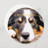 INVITATION COLLIE FRONTALIÈRE (Devant / Derrière)