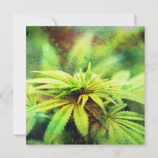 Invitation Conception de mariage de mauvaise herbe non tradit (Dos)