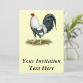 Invitation Coq de combat américain de bleu d'argent de jeu (Debout devant)