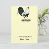 Invitation Coq de combat argenté de Duckwing (Debout devant)