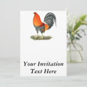 Invitation Coq de combat bleu rouge (Debout devant)