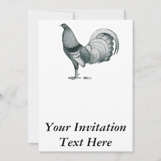 Invitation coq de combat Crele ou Dom (Devant)