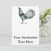 Invitation coq de combat Crele ou Dom (Debout devant)