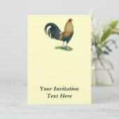 Invitation Coq de combat : Dom ou Crele (Debout devant)