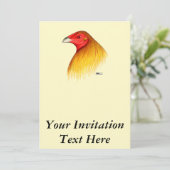 Invitation Coq de Combat Ébarbé (Debout devant)