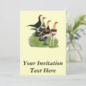 Invitation Coqs de Combat Moderne (Debout devant)