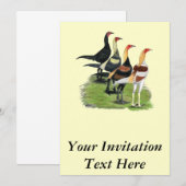 Invitation Coqs de Combat Moderne (Devant / Derrière)