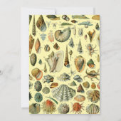 Invitation Coquillages de coquillages Mollusk Clam Élégant Ar (Dos)