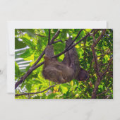 Invitation Costa Rica - Happy Lazy Sloth, Antonio Manuel NP (Devant)