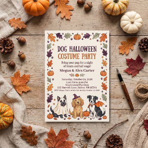 Invitation Costume d'Halloween pour chien Fête Orange Noir