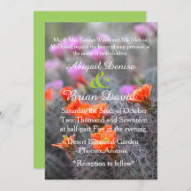 Couleurs de l'arrière - plan vert du désert