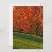 Invitation Couleurs d'invitation Mariages de automne rustique (Dos)