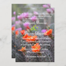 Couleurs du cactus du désert fleurit arrière - pla