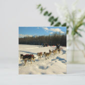 Invitation Course de chiens de traîneau Iditarod Trail (Debout devant)