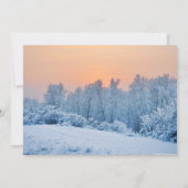 Invitation Couverture du Mariage White Winter Wonderland (Dos)