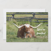 Invitation Cow Texas Longhorn Photo Anniversaire (Devant)