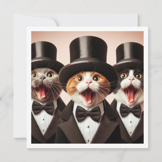 Invitation Cravate noire, drôle d'anniversaire de chat, chat (Devant)