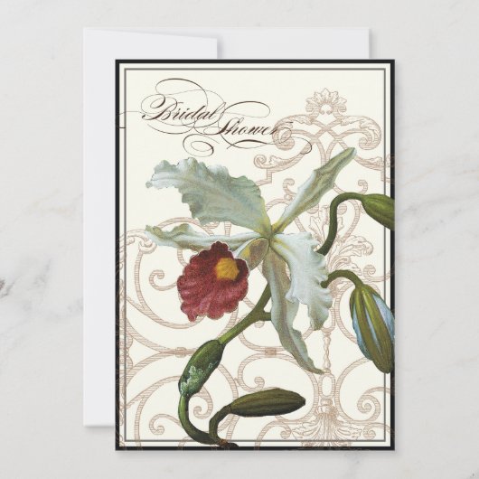 Invitation Crème d'orchidée de Cattleya Noir - Fête des marié (Dos)