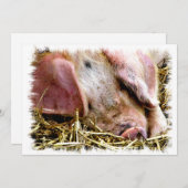 INVITATION CUITE DE PORC (Devant / Derrière)