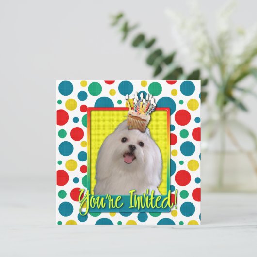 Invitation Cupcake d'invitation - Maltais (Debout devant)