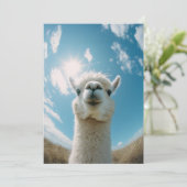 Invitation Curieux Alpaca sous le soleil (Debout devant)