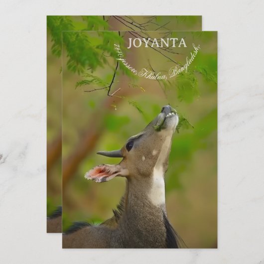 Invitation Custom deer (Devant / Derrière)