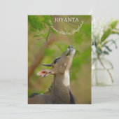 Invitation Custom deer (Debout devant)