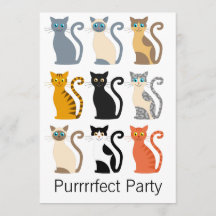 Cute Cats 40e anniversaire