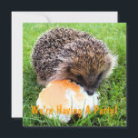 INVITATION CUTE EN HÉDGEHOG<br><div class="desc">Un mignon petit hérisson dégustant un repas plutôt copieux !</div>