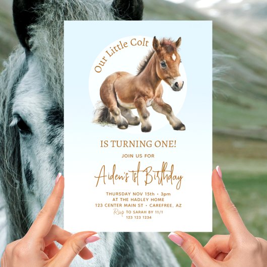 Invitation Cute Horse Boys 1er Anniversaire