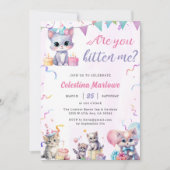 Invitation Cute Kitty Baby shower de chat (Devant)