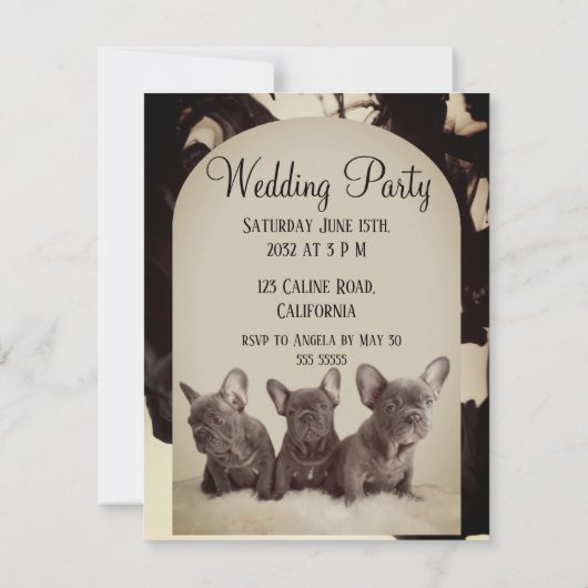 Invitation cute pitbull elegant party (Dos)