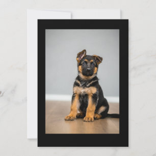 Invitation cute puppy