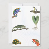 Invitation Cute Reptile Thémé Fête d'anniversaire de l'enfant (Dos)
