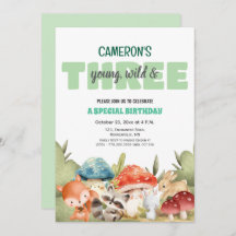 Cute Woodland Animals 3rd Birthday Party 