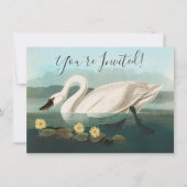 Invitation cygne audubon cygnes d'eau blanche (Devant)