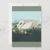Invitation cygne audubon cygnes d'eau blanche (Dos)