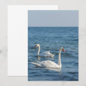 Invitation Cygnus cygne blanc (Devant / Derrière)