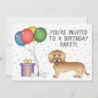 Dachshund à poil dur blé Canin mignon - Anniversai