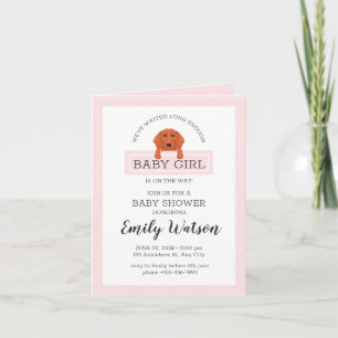 Invitation Dachshund Baby shower fille